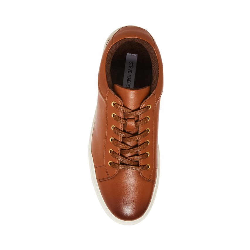 Brown Steve Madden Tilton Leather Men's Sneakers | PH 1279ENK